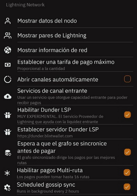Blixt Lightning Network Options