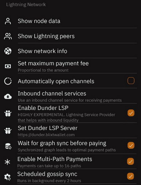 Blixt Lightning Network Options